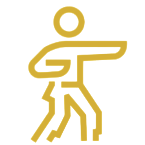 No-Gi
